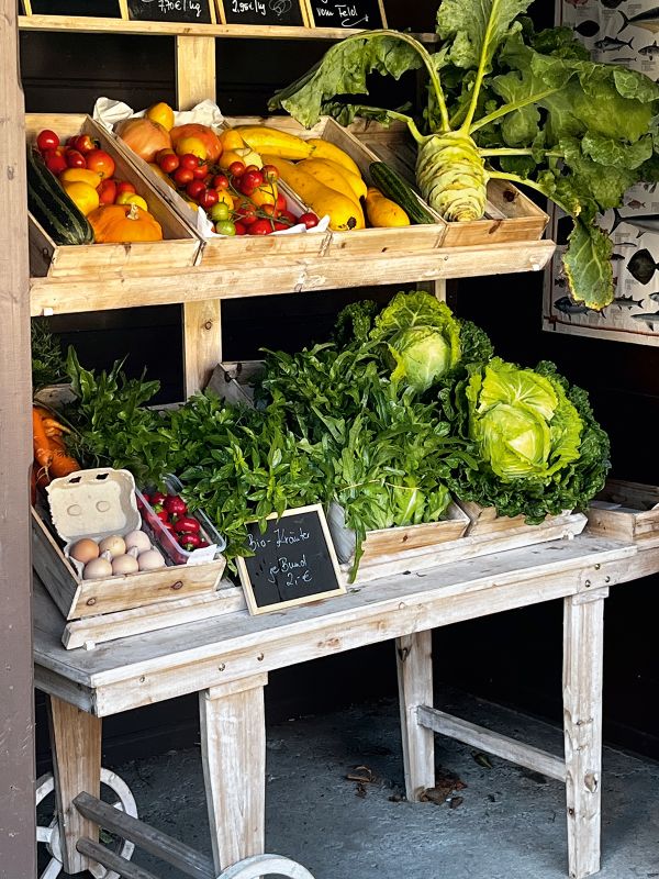 Eine Auswahl an Gemüse zum Verkauf in einem Hofladen