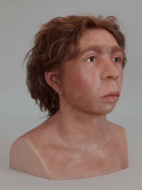 Rekonstruktion des Kopfes eines Neandertalers