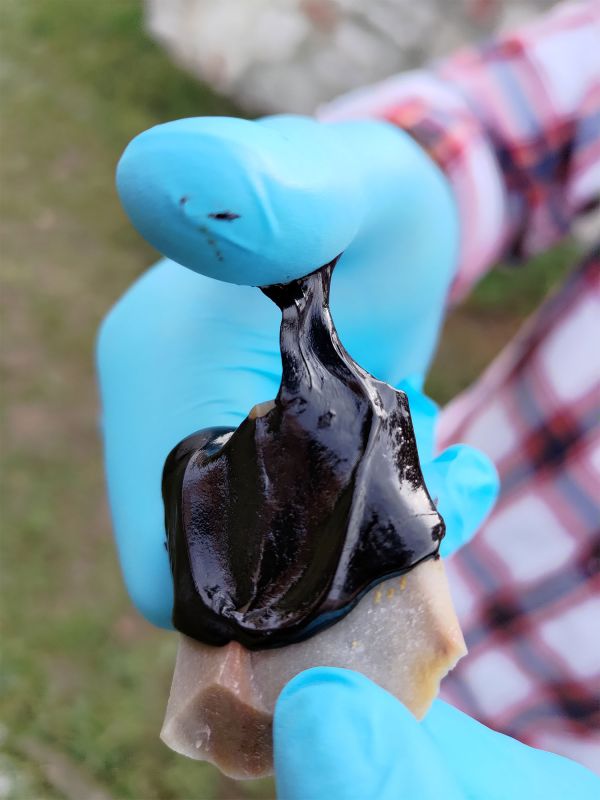 Frisches Bitumen, Schwarze klebrige Masse an eine Stein befestigt. gehalten von einer Hand mit blauem Gummihandschuh