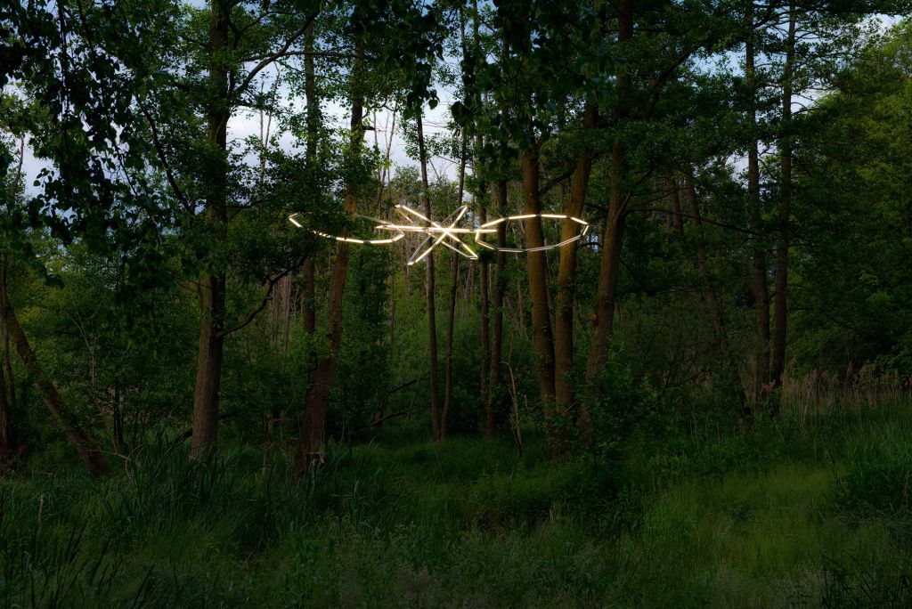 Eine Lichtinstallation von Björn Dahlem zwischen Bäumen
